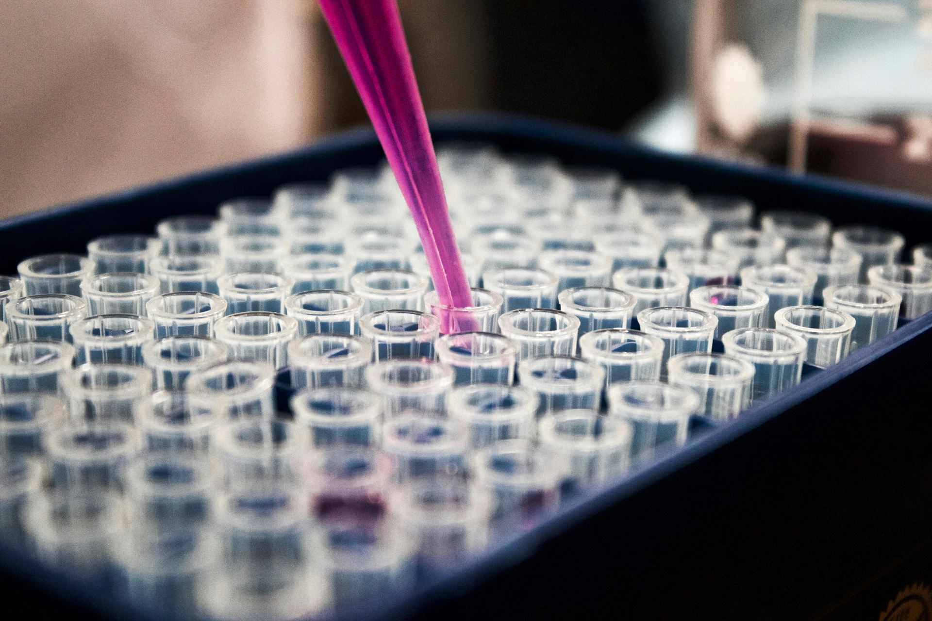 pipettes and tests